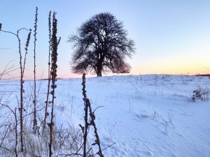 IMG_20220122_163551